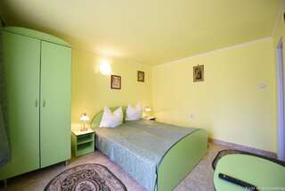 Гостевой дом Vila Maruta Хацег Номер с кроватью размера king-size – Подходит для гостей с ограниченными физическими возможностями-5