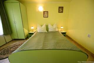Гостевой дом Vila Maruta Хацег Номер с кроватью размера king-size – Подходит для гостей с ограниченными физическими возможностями-4